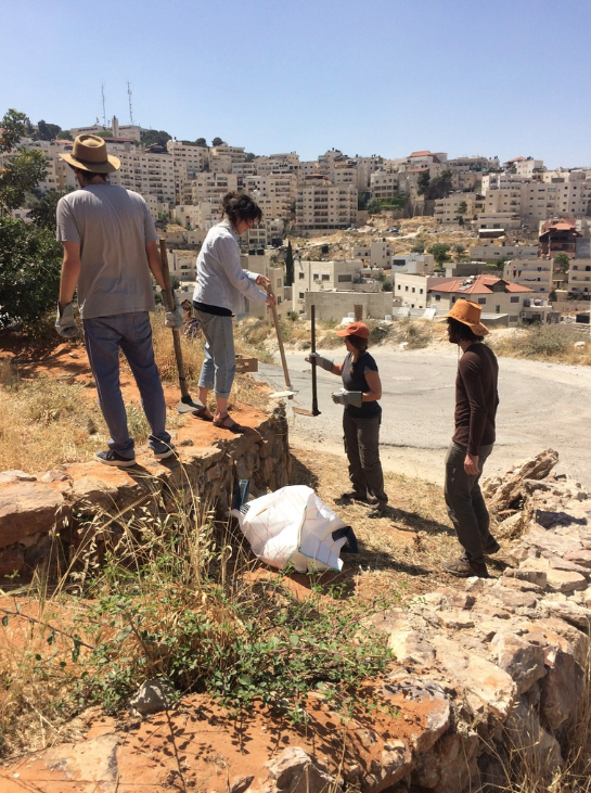 Screen Shot 2017-09-13 at 2.08.30 PM